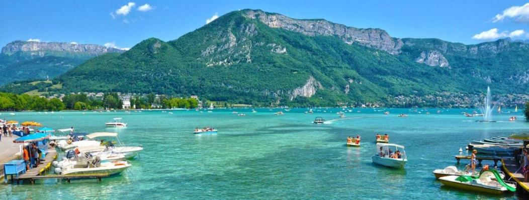Appartement Atypique Au Coeur Des Alpes Barraux Luaran gambar